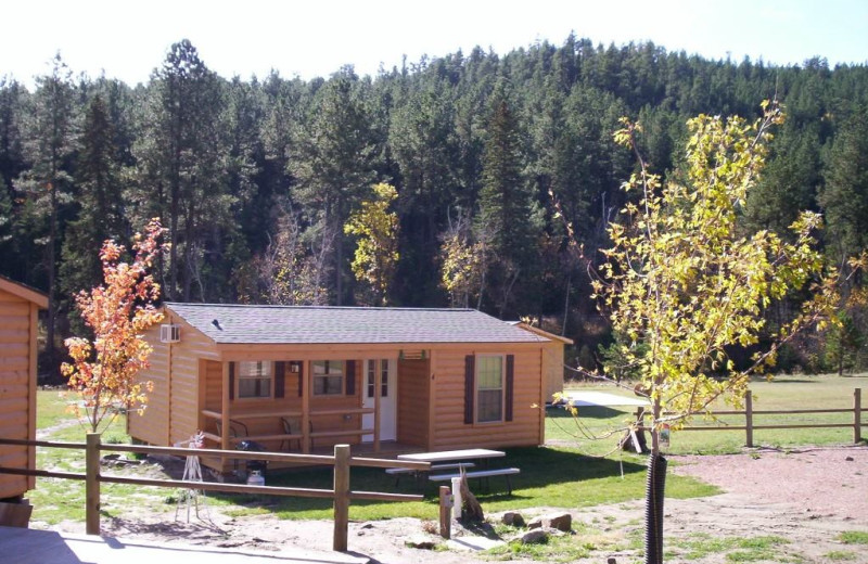 Cabin exterior at American Pines Cabins.