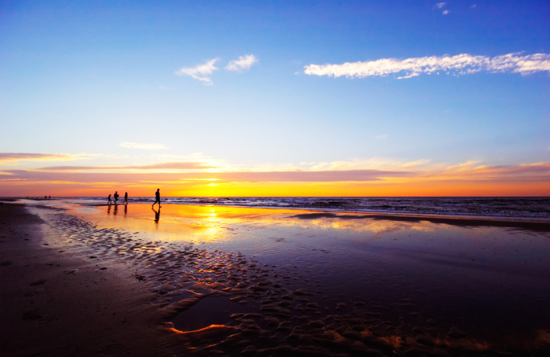 Beach at Dolphin Run Condominium Association. Inc.