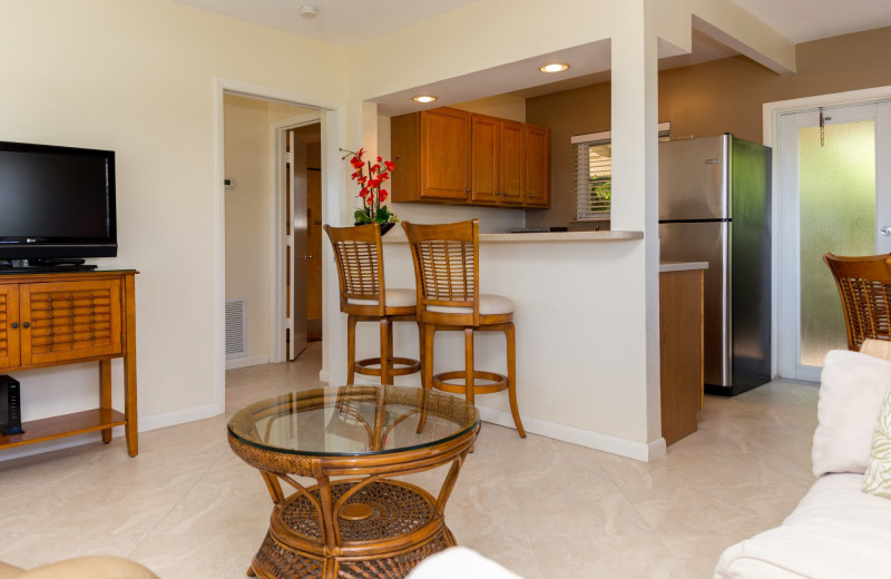 Guest kitchen at Royal Flamingo Villas.