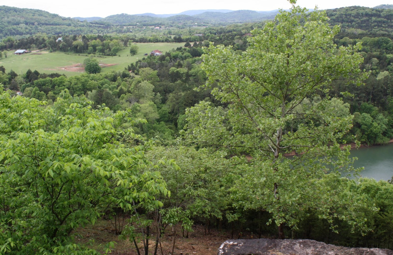 View from Arkansas White River Cabins.