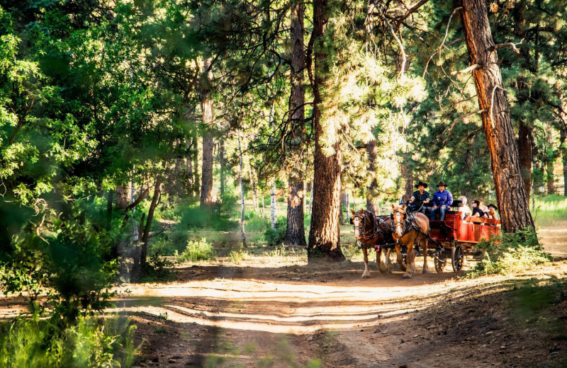 Wagon rides at Colorado Trails Ranch.