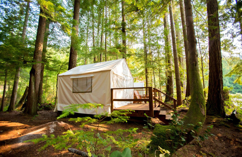 Wilderness Resort & Retreat - Cawley Point (, British Columbia ...