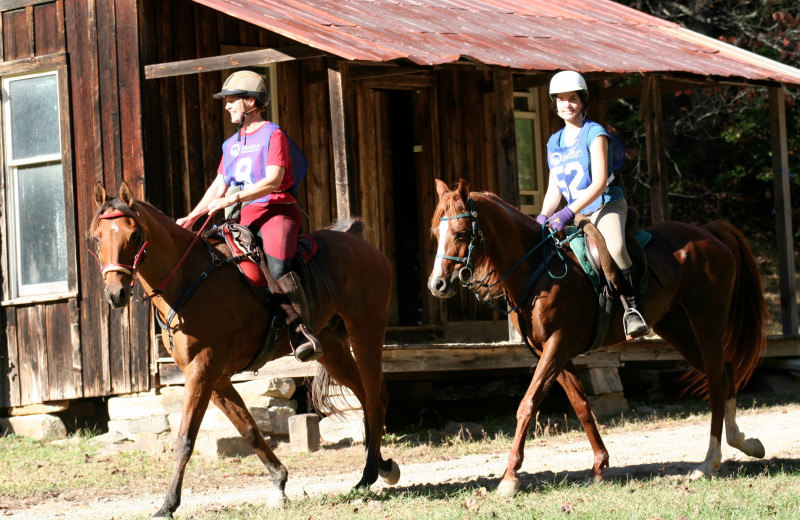 Bring your horse to Leatherwood Mountains Resort.