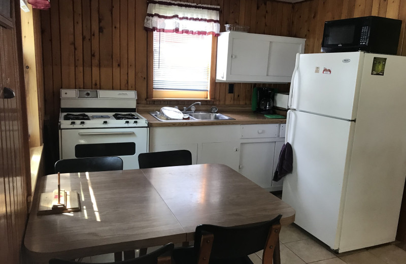 Cabin kitchen at Driftwood Resort.