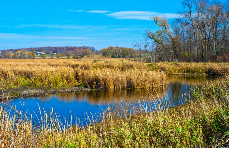 Natural area nearby The Sawyer House Bed & Breakfast, LLC