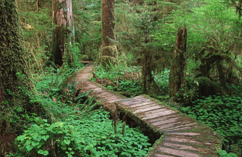 Boardwalk at Honeymoon Bay Lodge & Retreat.