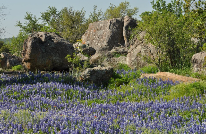 Scenic views from Willow Point Resort.