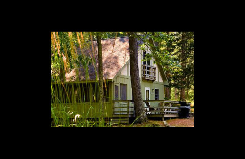 Cabin exterior at Broadwater Lodge.