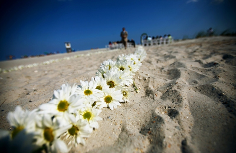 Beach wedding at Shell Island Resort.
