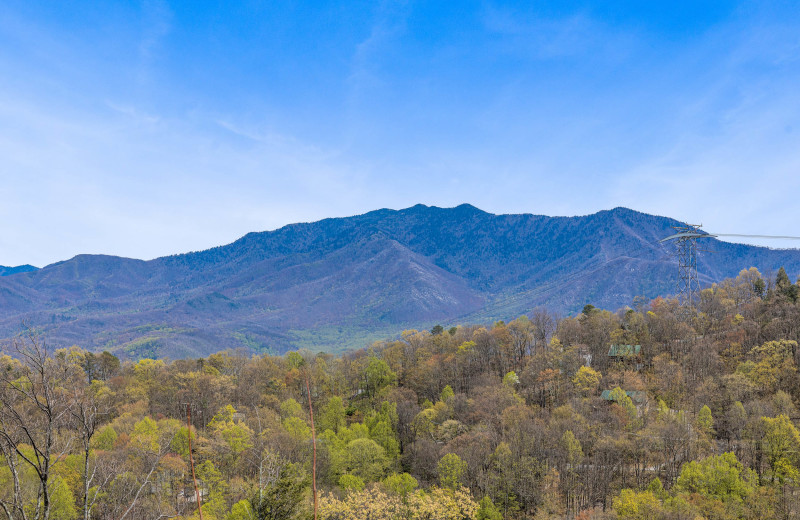 View from American Patriot Getaways - Ober The Top Views.