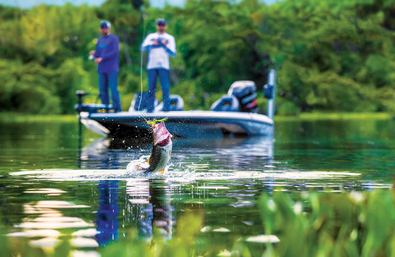 Fishing at Big Cedar Lodge.