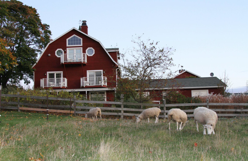 Exterior view of Chanticleer Guest House.