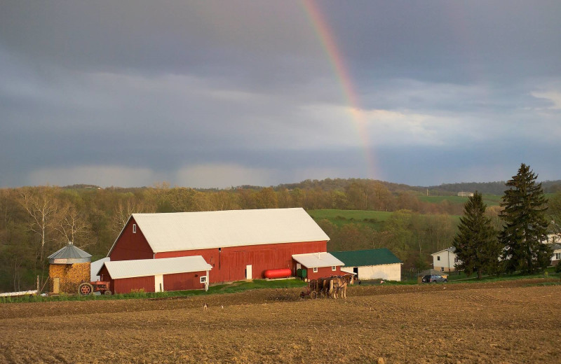 Amish farms at Berlin Grande Hotel.