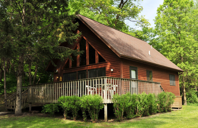 Cottage exterior at Bug-Bee Hive Resort.