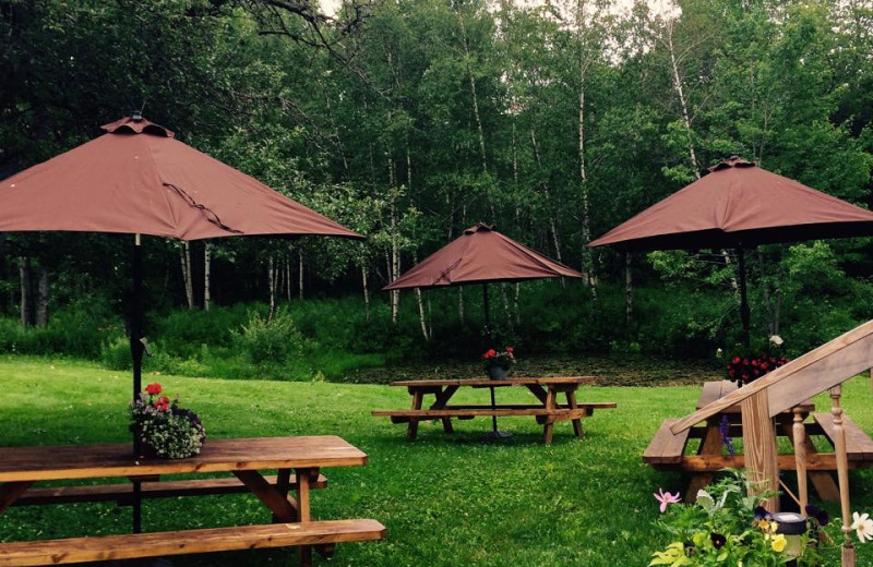 Picnic area at The Red Clover Inn & Restaurant.