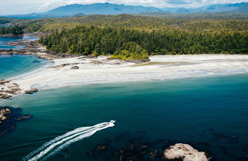 Aerial view of Tofino Resort + Marina.