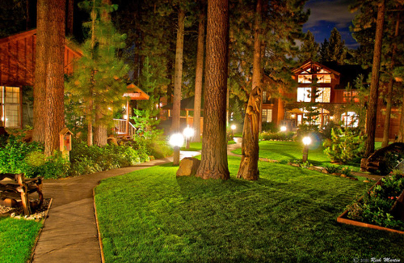 Black Bear Inn (South Lake Tahoe, CA) - Resort Reviews