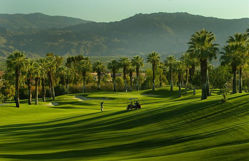 Golf Course at Marriott Desert Springs Resort