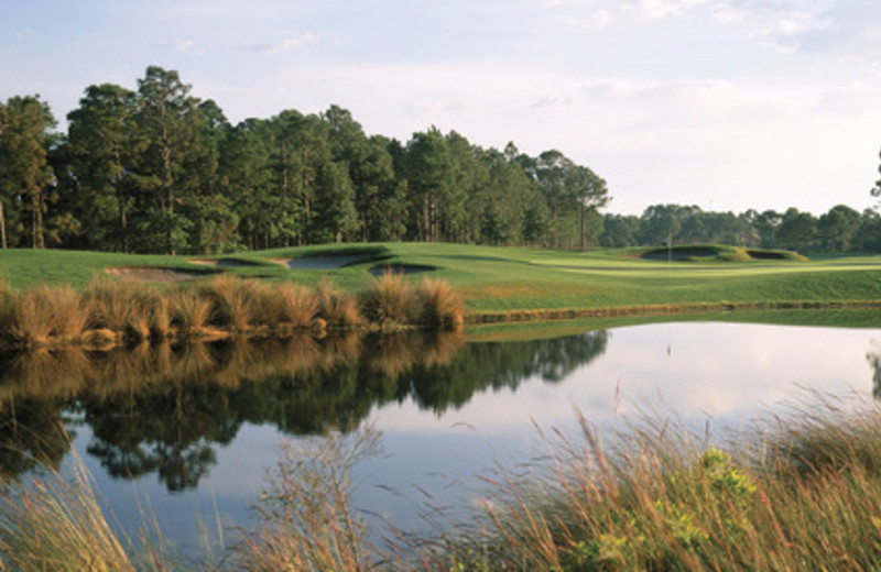 Golf course at Sandestin Golf Resort.