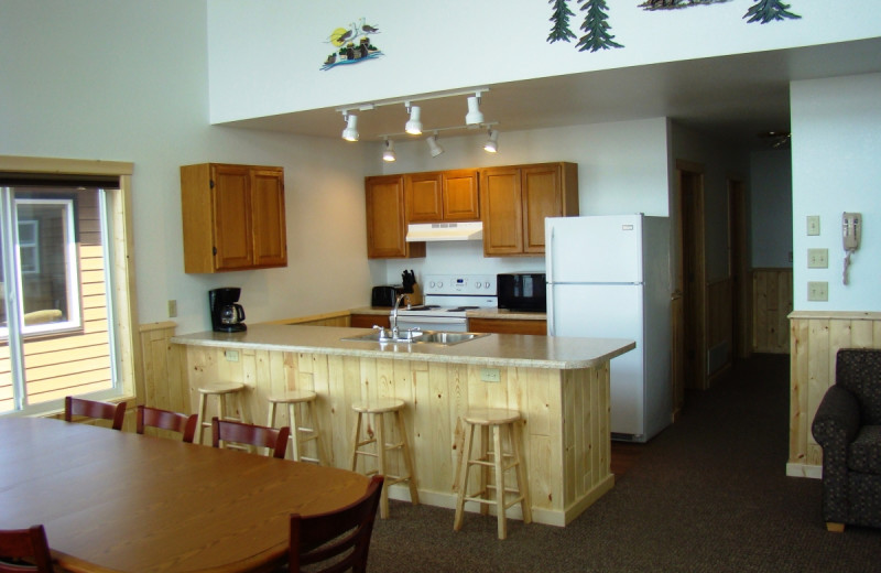 Cabin kitchen at Gull Four Seasons Resort.