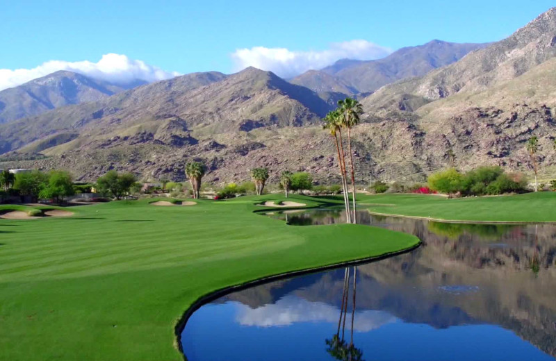 Golf at Indian Canyons Golf Resort.