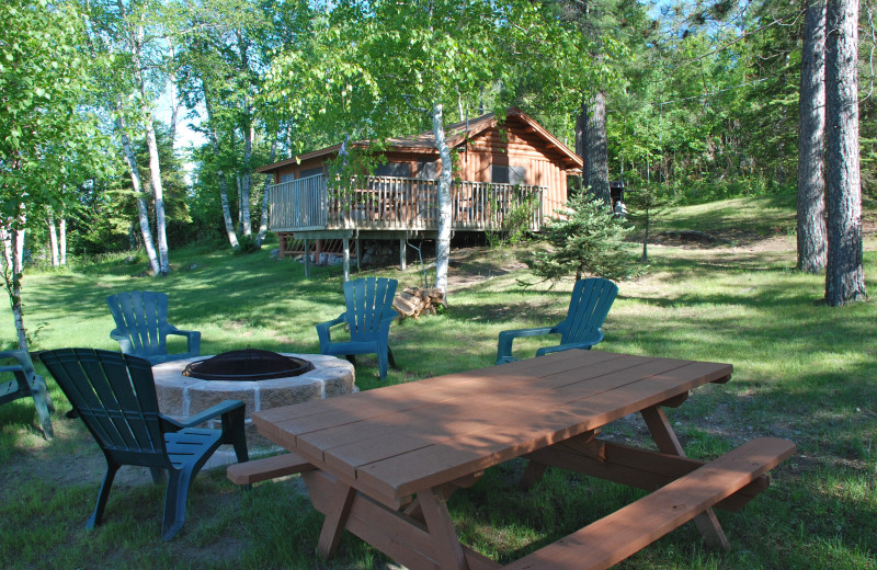 Fire pit and picnic area at River Point Resort & Outfitting Co.