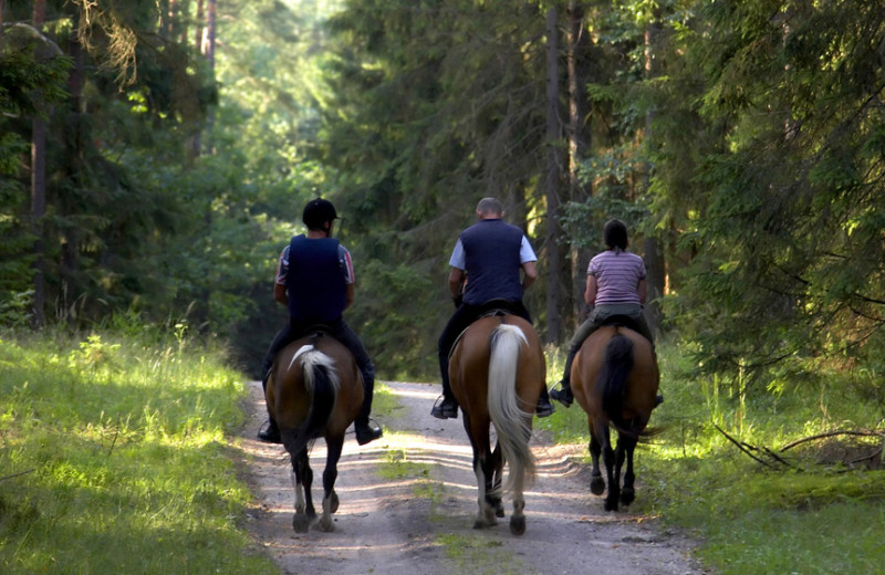 Horseback riding at Inn At Lake Joseph.