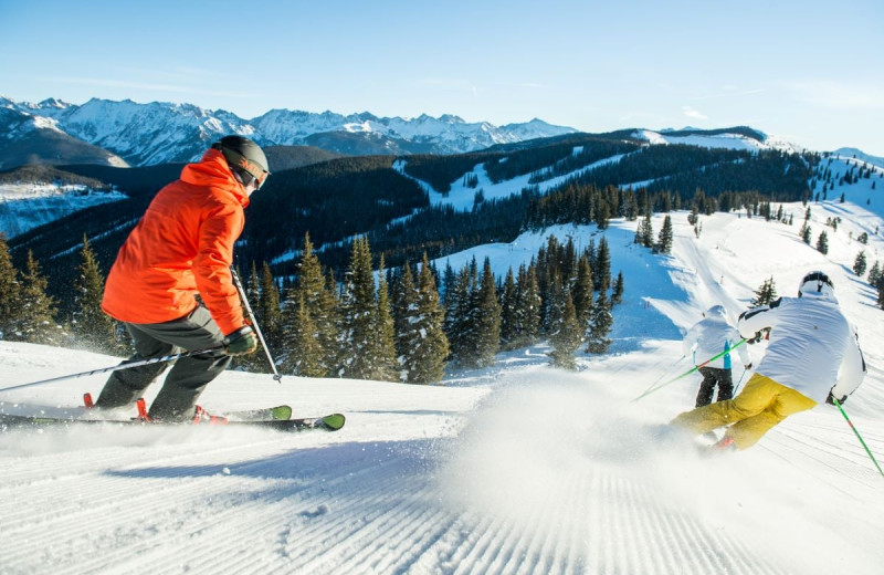 Ski at Lodge at Lionshead.