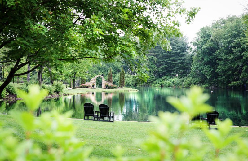 Pond at Gervasi Vineyard.