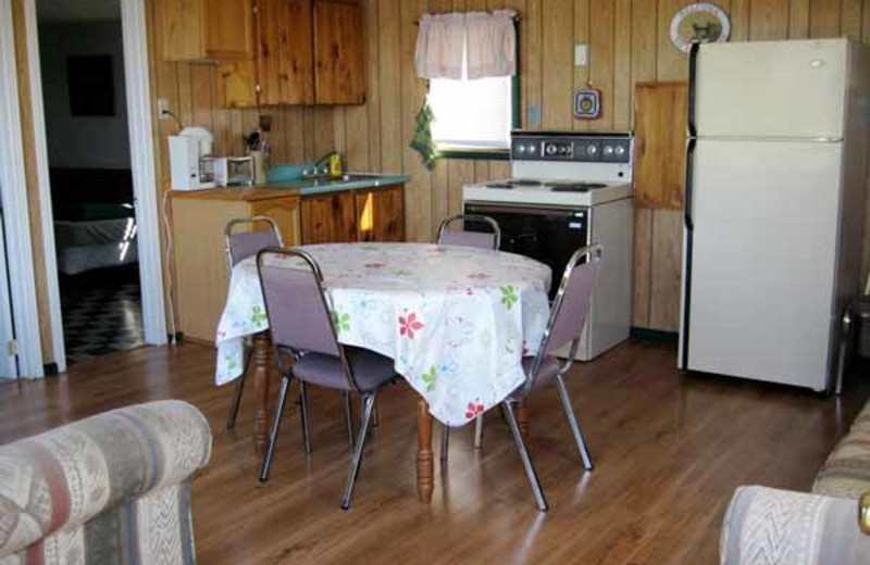 Cabin kitchen at Brennan Harbour Resort.