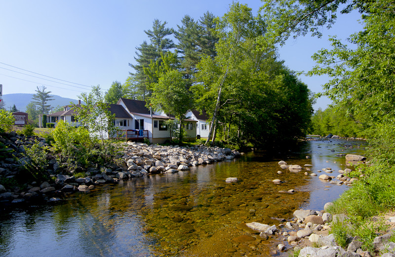 River view at Riverbank Motel & Cabins.