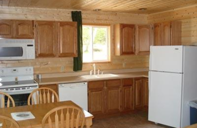 Cabin kitchen at Sandy Pines Resort.