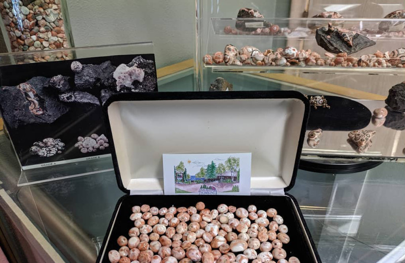 Gems at Thomsonite Beach Inn & Suites.