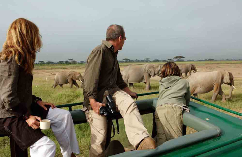 Elephant safaris at Amboseli Serena.