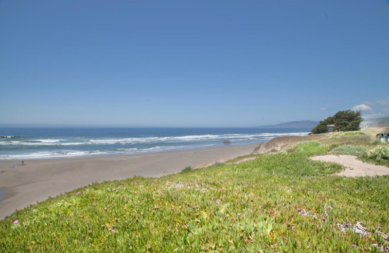 Beach at Bodega Coast Inn 