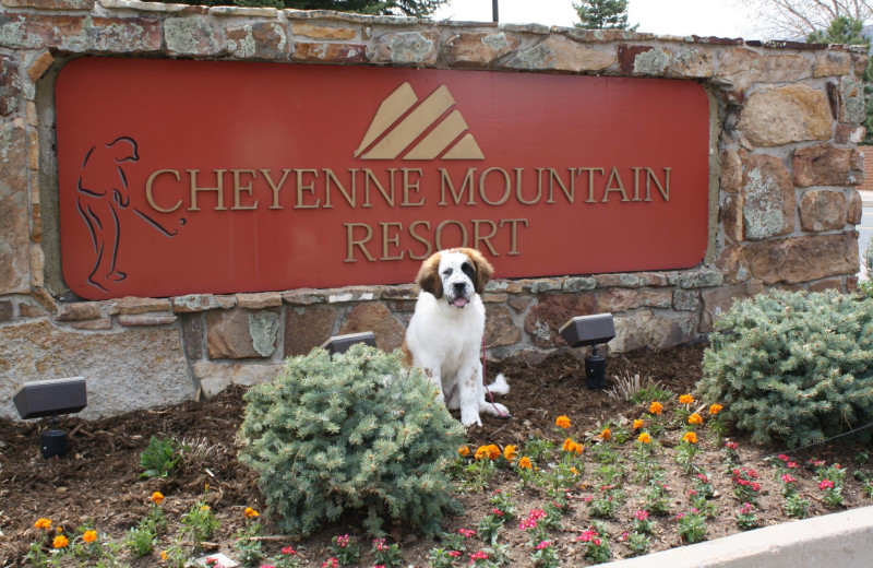 Dog-friendly Cheyenne Mountain Resort.