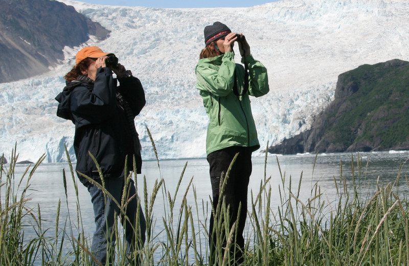 Bird watching at Kenai Fjords Glacier Lodge.