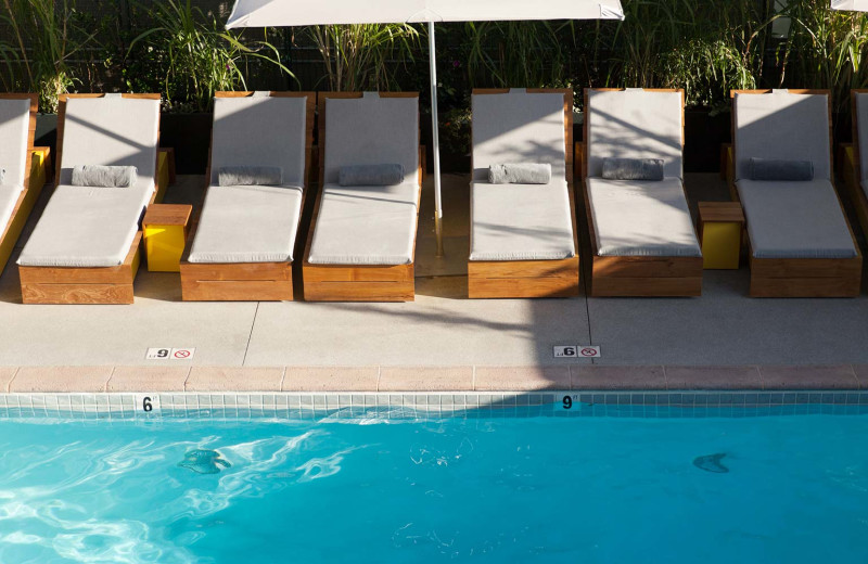Outdoor pool at The LINE Hotel.