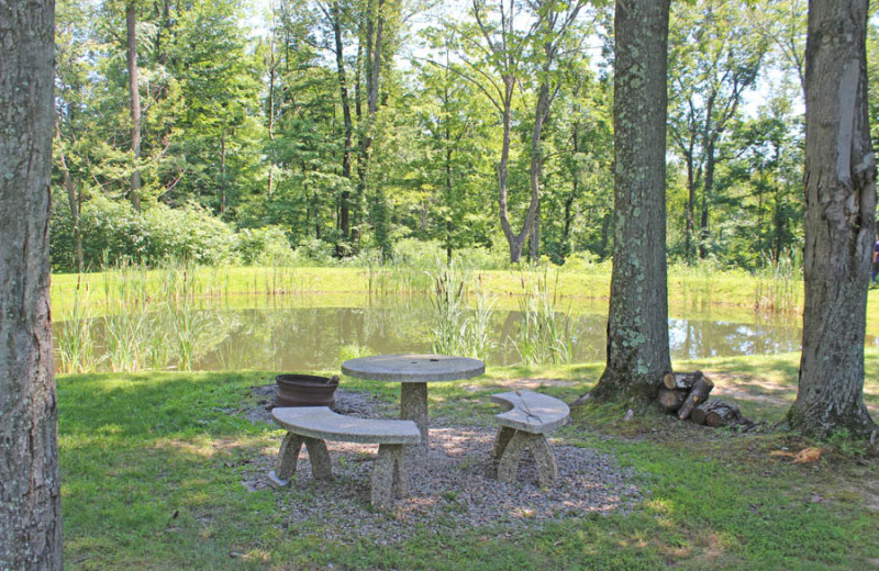 Fire pit at Hocking Hills Backwoods Retreat.