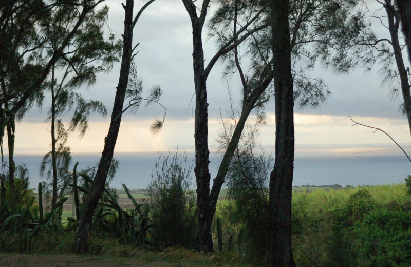 View from Lumeria Maui.