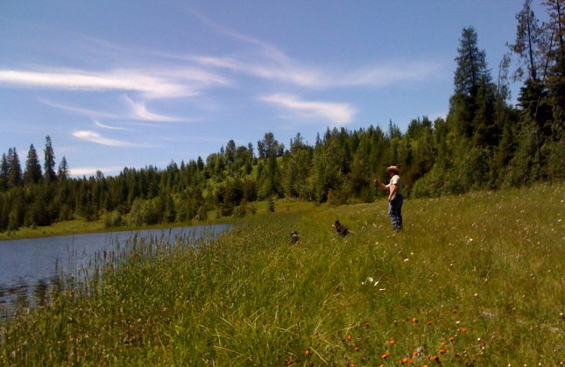 Fishing at Western Pleasure Guest Ranch.