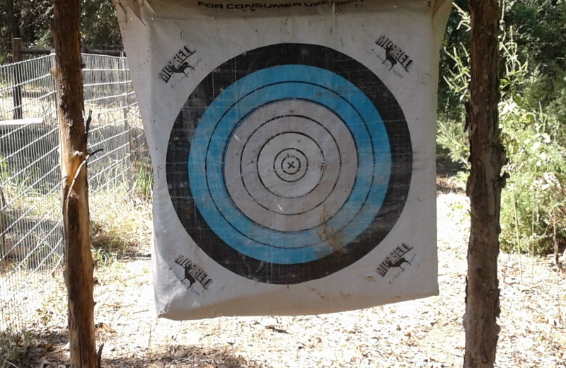 Target practice at Mustang RV Ranch.