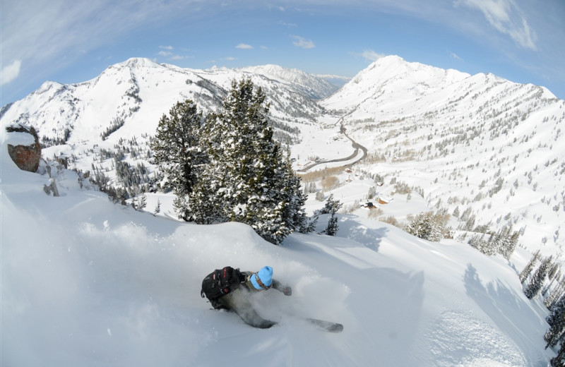 Wasatch Back country at Snowpine Lodge.