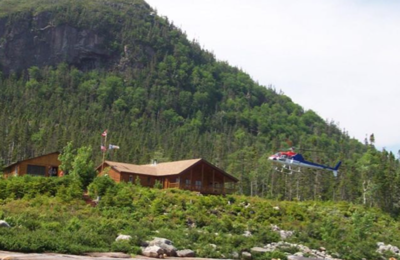 Cabin at Grey River Lodge.