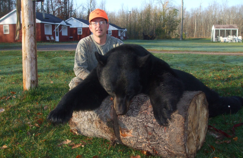 Bear hunting at The West Shore Resort.