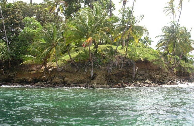 Island at Bocas Bali Resort.