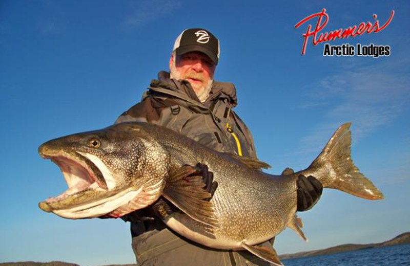 Fishing at Plummer's Arctic Fishing Lodges.