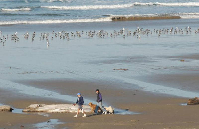 Pet friendly beaches at Manzanita Rental Company.