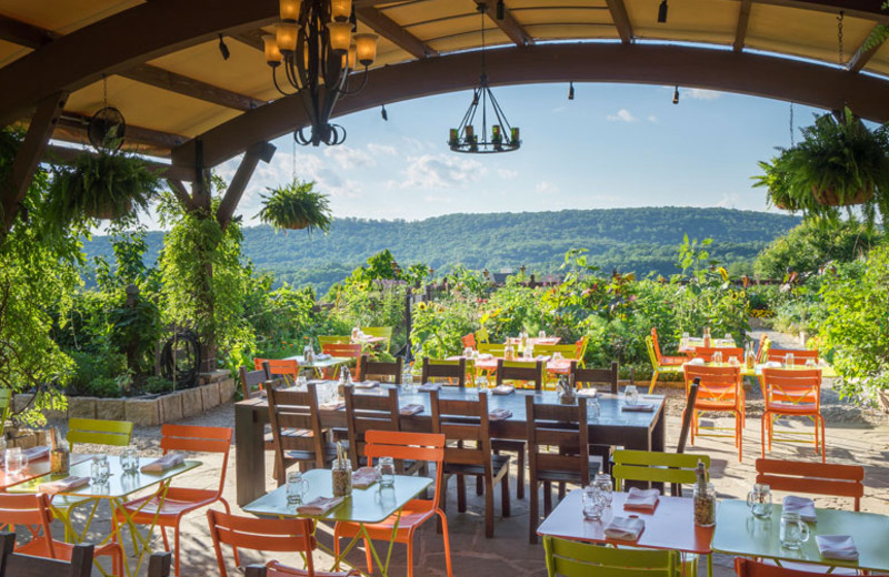 Patio at Minerals Hotel.