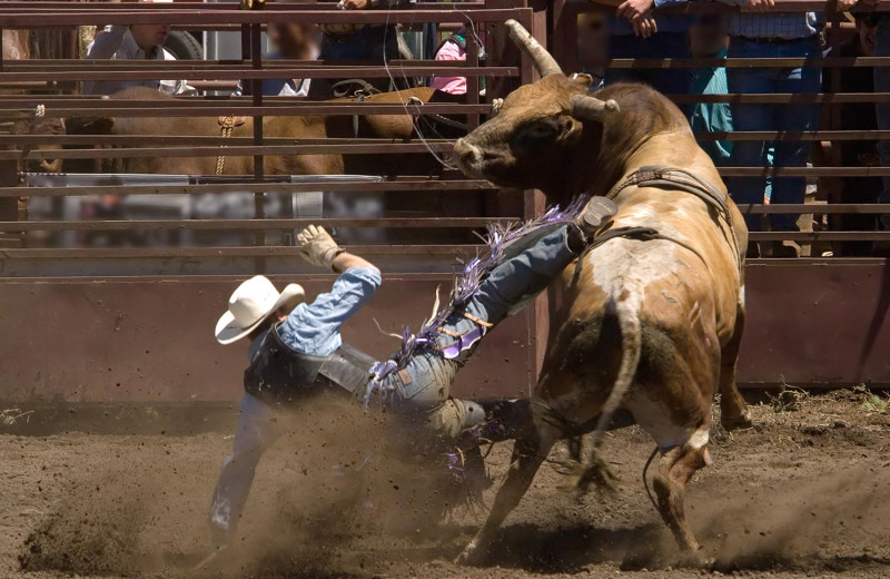 Rodeo at Vee Bar Guest Ranch.